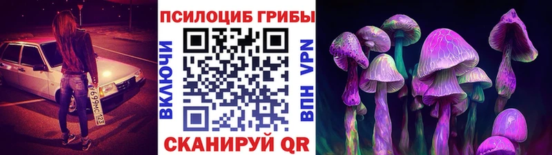 Псилоцибиновые грибы Magic Shrooms Челябинск