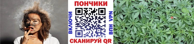 купить наркотики цена  Челябинск  Бошки марихуана AK-47 